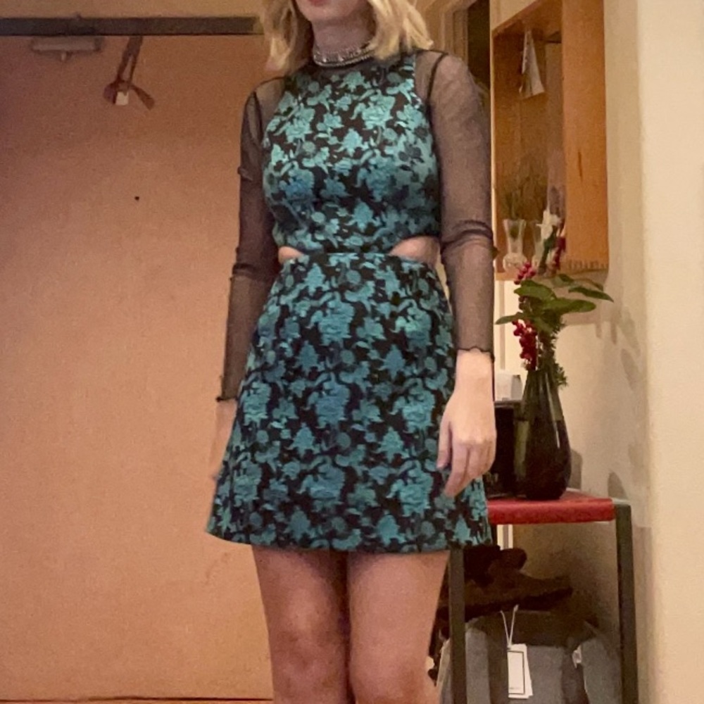 Hutch dress size 2 NWT